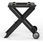 ninja-stand.png